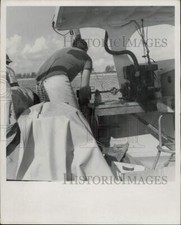 1967 Press Photo Lobster