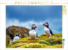 CALVENDO Puzzle Zurück zur