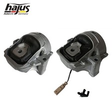 Hajus 2x Lagerung Motor