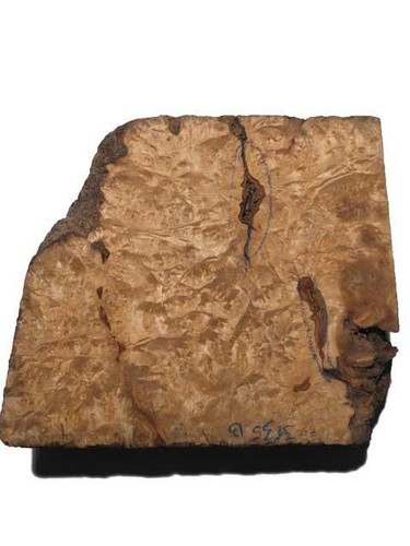 Golden madrona wurzelholz - golden,