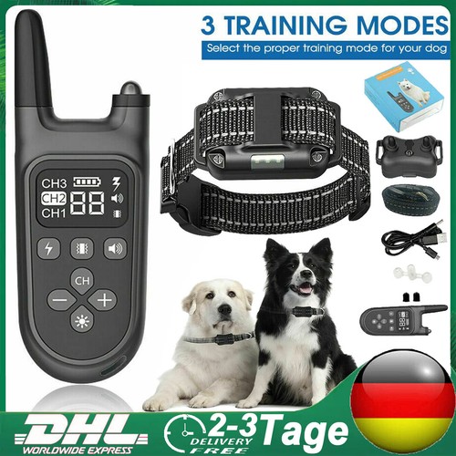 Neu ferntrainer - neu,