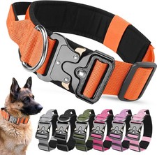 Taktisches Hundehalsband mit