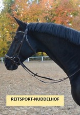 Otto Schumacher Trense Black