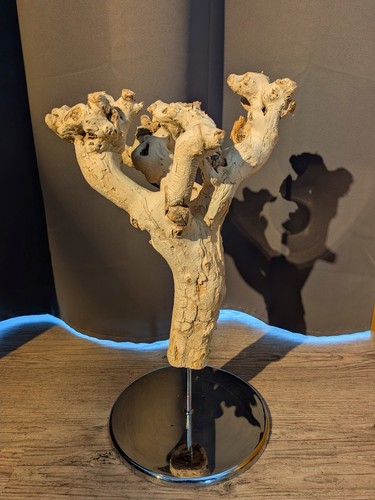 Treibholz driftwood sculpture - driftwood,