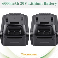 2X 18V/20V 6Ah Li-Ion Akku