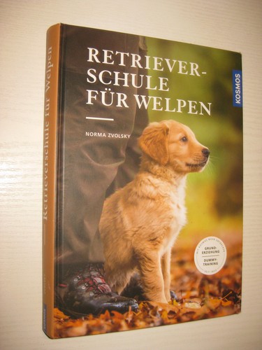 Retrieverschule für welpen - retrieverschule,