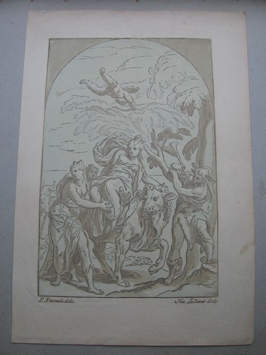 Nicolas lesueur raub europa - nicolas,