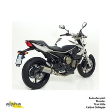 ARROW Auspuff THUNDER für