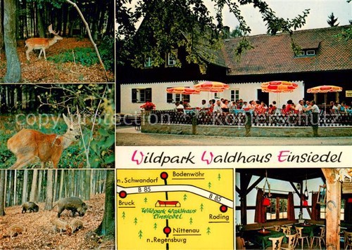 Nittenau wildpark waldhaus - nittenau,