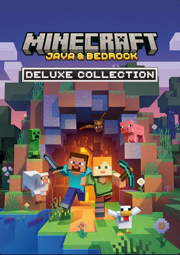Minecraft java bedrock - java,