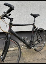 Focus Arriba 28 Zoll