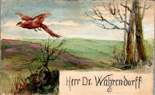 AK JAGD FASAN GEMALT COL. UM 1910