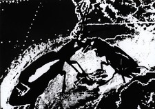 Speckmann, Hugo. 1990. [Original-Fotografie / original photograph in b/w].