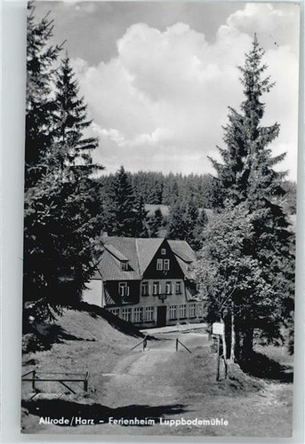 50379269 4301 allrode harz - ,