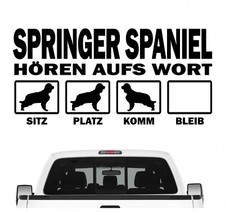 Springer spaniel english - spaniel,