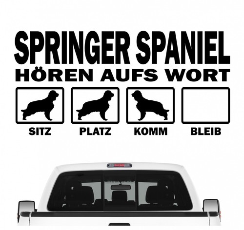 Springer spaniel english - spaniel, hört