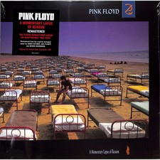 Pink Floyd / A MOMENTARY LAPSE