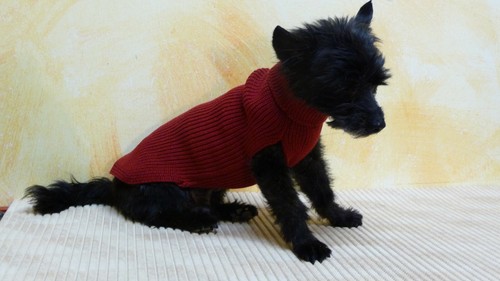 Hundemantel pullover winter - pullover,