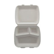 PW 200 Stück Bio Bagasse