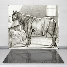 Glas-Herdabdeckplatte