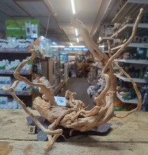 Rotes Moorholz Wurzel auf