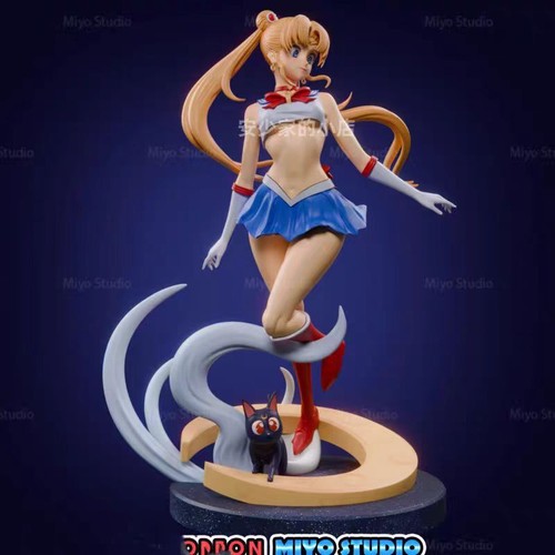Sailor moon tsukino - moon, 3d