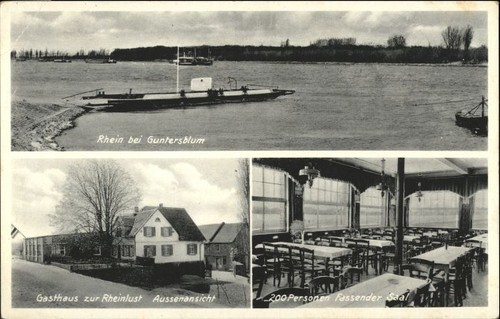 Guntersblum gasthaus rheinlust - guntersblum,