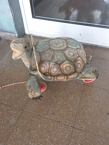 Steiff schildkröte vintage - schildkröte,