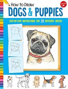 How draw dogs puppies - how,