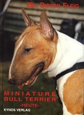 Miniature bull terrier - terrier,