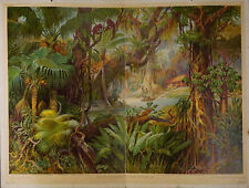 Wandkarte Süd Amerika Kunstdruck Urwald Dschungel Pflanzen Tiere