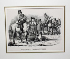 Landwirtschaft Ross Pferd