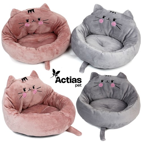 Katze kätzchen bett haustier - katze,