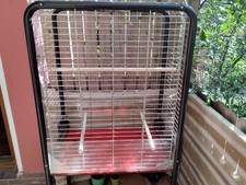 Großer Vögel Käfig zu Abgabe