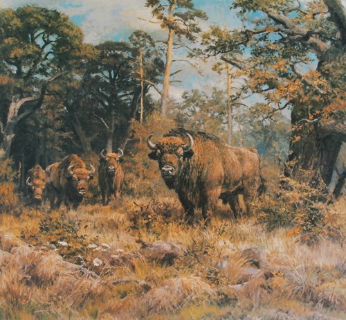 Bison kunstdruck 39 cm - kunstdruck,