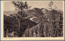 Bayern AK ~1925 Der Schinder Weg Rotwand Schliersee, alte Postkarte, Postccard
