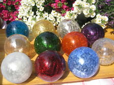 Frostsicher Bunte Farben 10cm