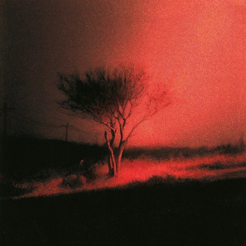 Joji piss the wind - -, (black