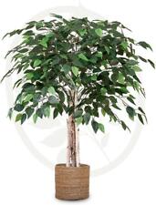 Maia Shop Ficus Kunstpflanzen, 105 x 70 cm Ficus Benjamini Deko Wohnzimmer