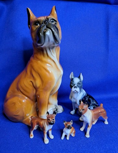 Hunde set boxer - 5,