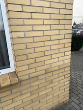 Strangpress Klinker-Riemchen