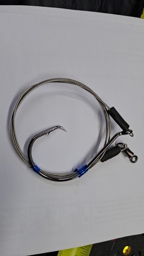 Conger top huss - trace., 30+