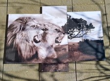 Leinenwandbild - Löwe,Tiger 