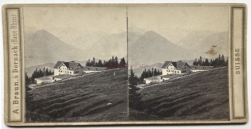 Schweiz rathaus rigi kaltbad - rigi,