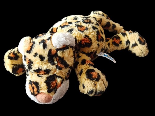 Nici leopard katze wild - leopard,