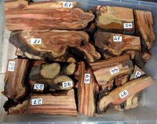 Pflaumen  Wurzelholz