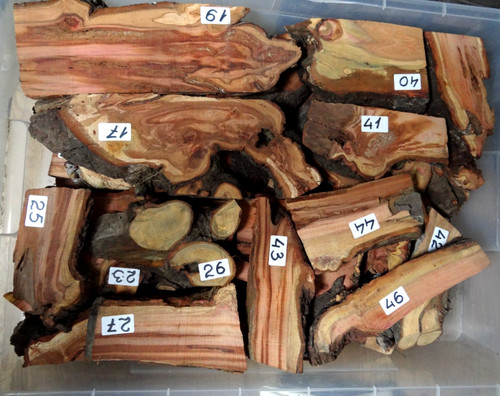 Pflaumen wurzelholz - ,