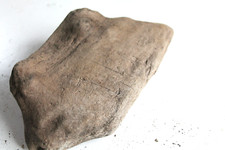 Schwemmholz Treibholz Skulptur