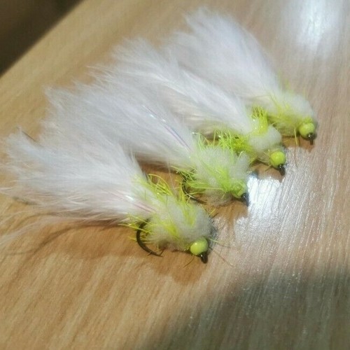 Eggstacy cats whisker - cats, forelle