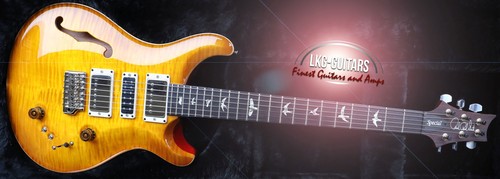 Prs special semi hollow - special,
